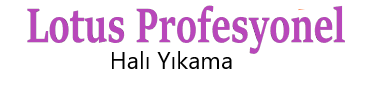 Lotus Profesyonel Halı Yıkama